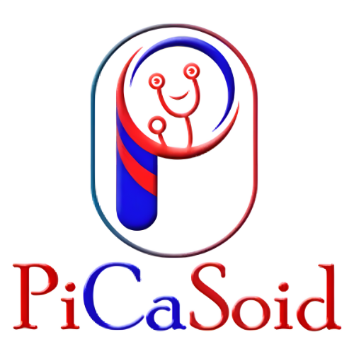 PiCaSoid Logo